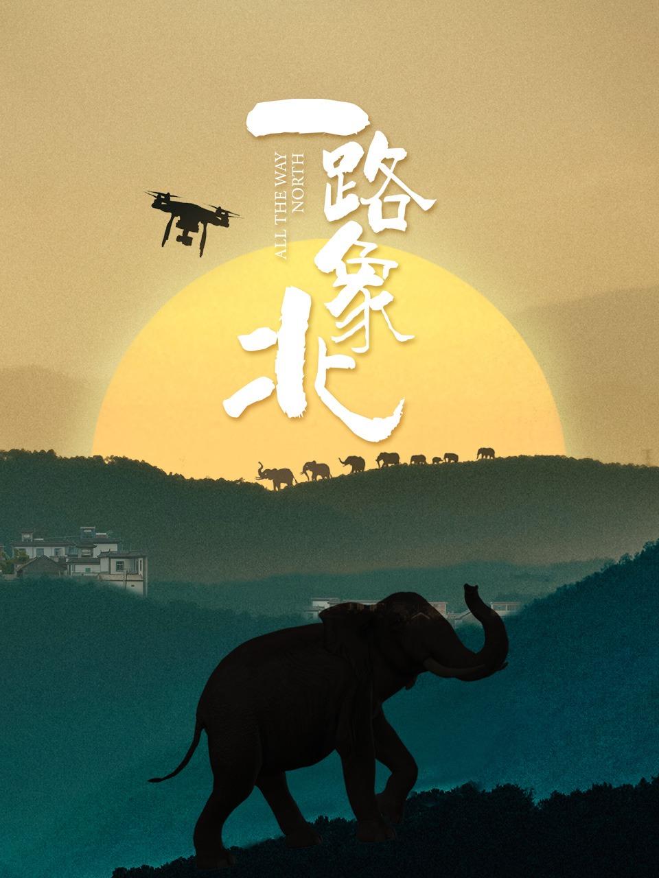 一路象北封面图