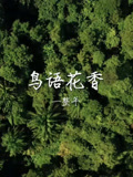 鸟语花香一整年封面图