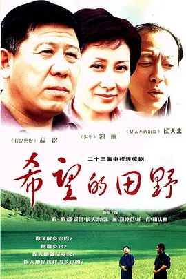 希望的田野（2003）封面图