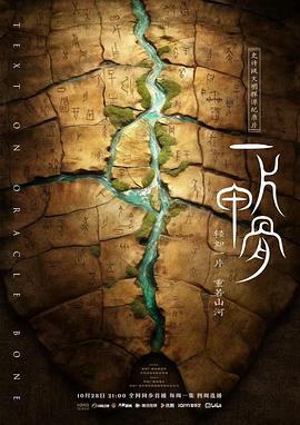 一片甲骨封面图