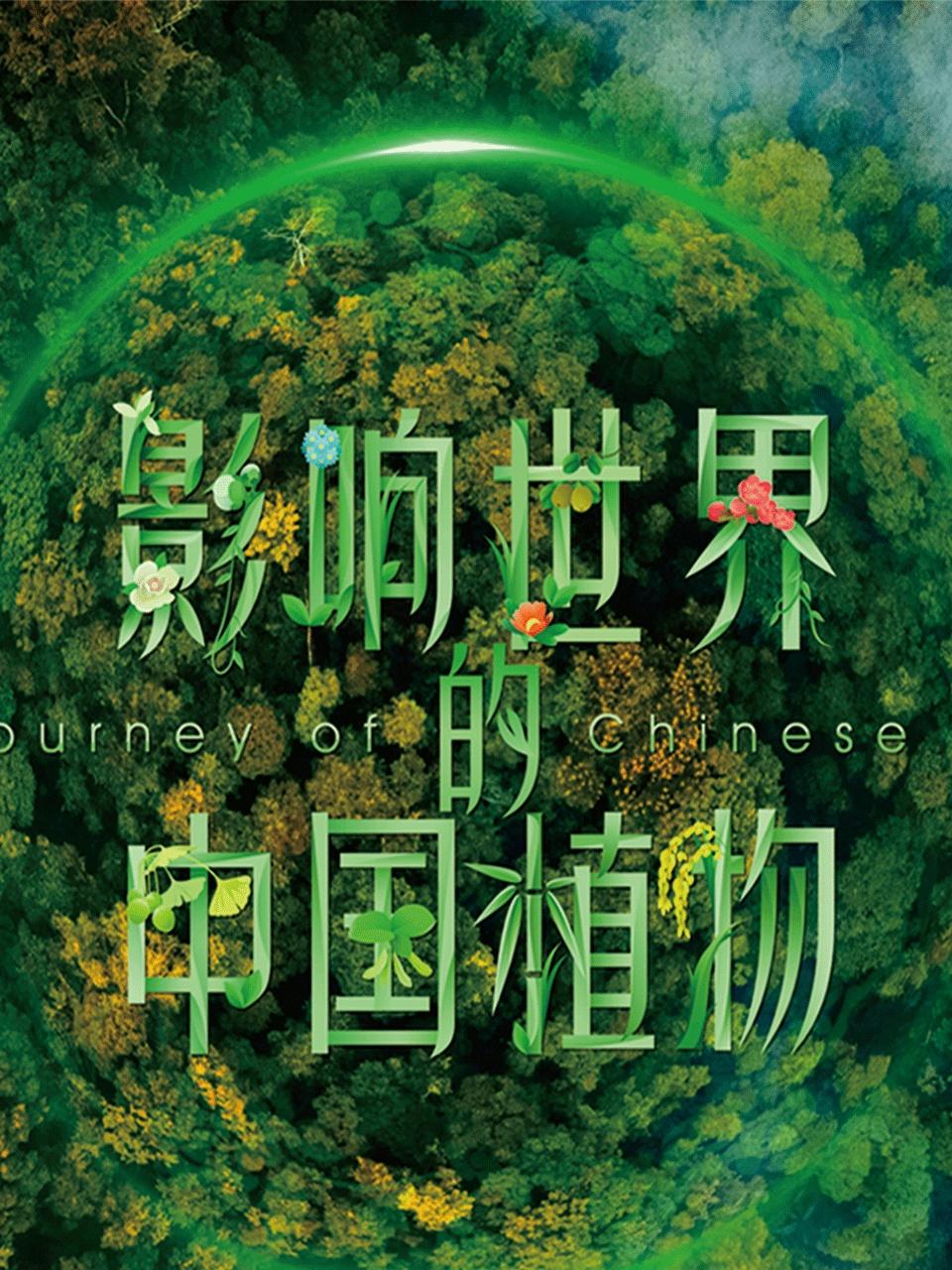 影响世界的中国植物封面图