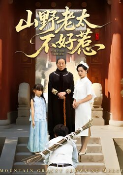 山野老太不好惹封面图